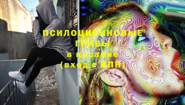 каннабис Бородино