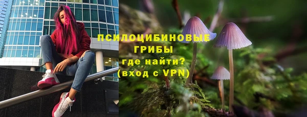 каннабис Бородино