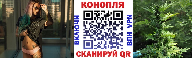 Шишки марихуана планчик  цены   Когалым 